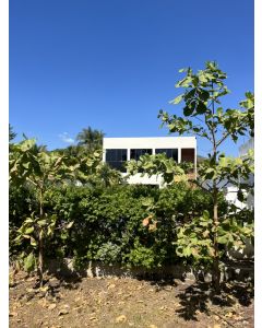 Beach House 2nd Row **Under Contract** 